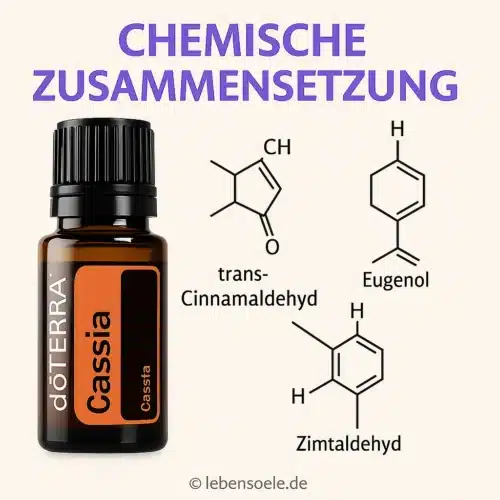 Cassia - Cinnamomum cassia - Image 3