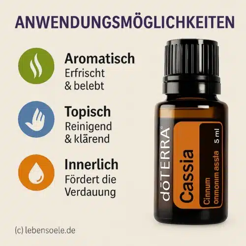 Cassia - Cinnamomum cassia - Image 2