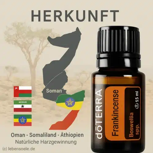 Frankincense - Boswellia frereana - Frankincense - Image 3