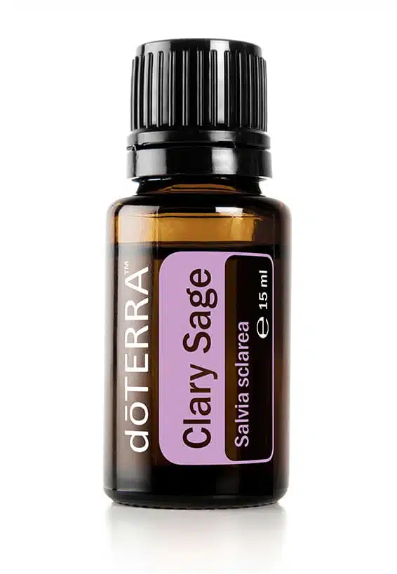 Clary Sage – Salvia sclarea – Nutmeg – Clary Sage