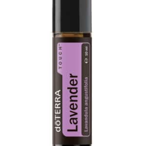 Lavender Touch® – Lavandula angustifolia – Lavender