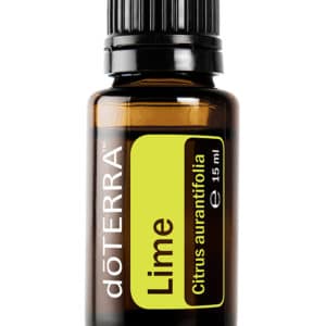 Lime – Citrus aurantifolia – Lime