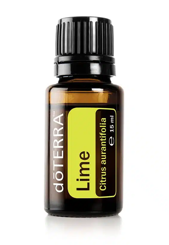 Lime – Citrus aurantifolia – Lime