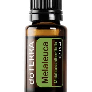 Melaleuca – Tea Tree Oil – Tea Tree