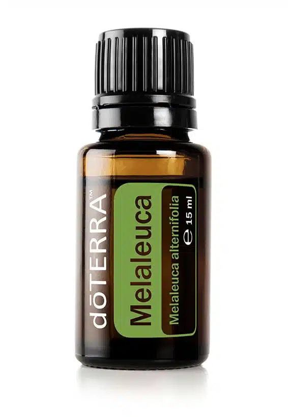 Melaleuca – Tea Tree Oil – Tea Tree