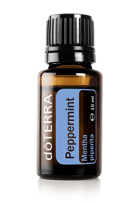 Peppermint – Mentha piperita – Peppermint