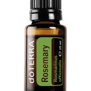 Rosemary – Rosmarinus officinalis – Rosemary