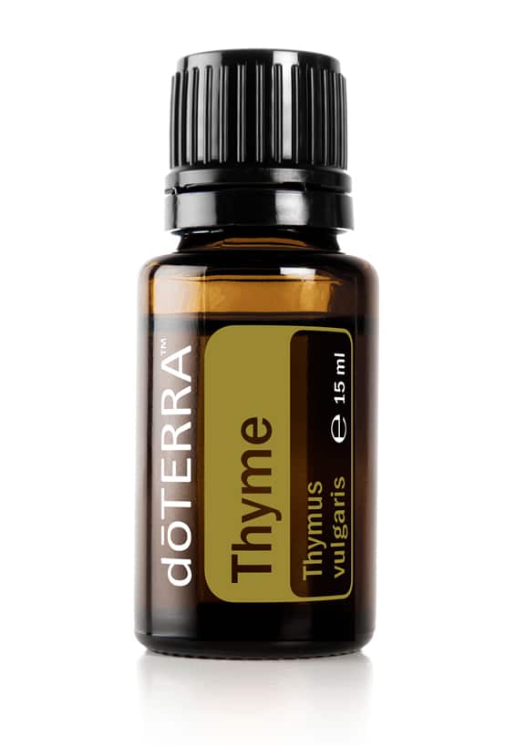 Thyme – Thymus vulgaris – Thyme