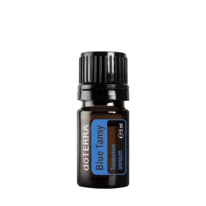 doterra blauer rainfarn tanacetum annuum blue tansy