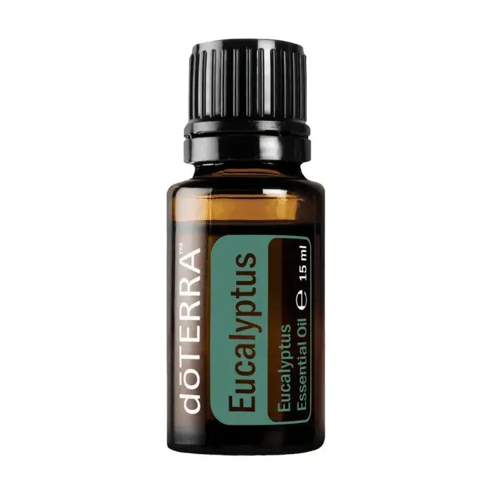 doterra eukalyptus eucalyptus radiata