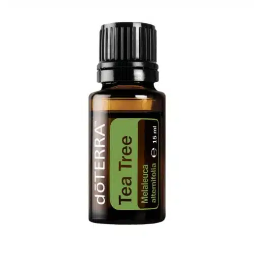 doTERRA Teatree- Teebaum