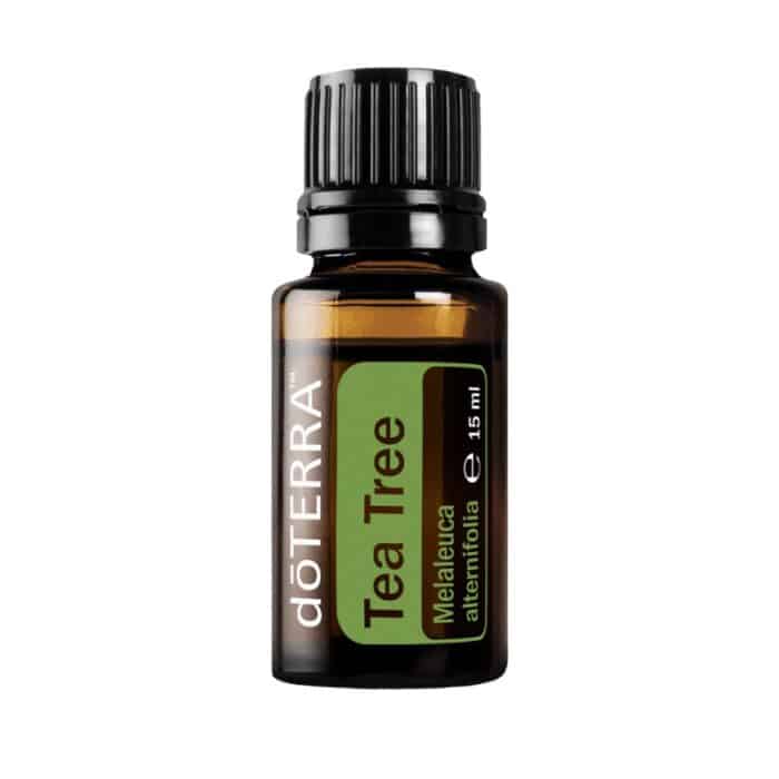 Melaleuca – Tea Tree Oil – Tea Tree