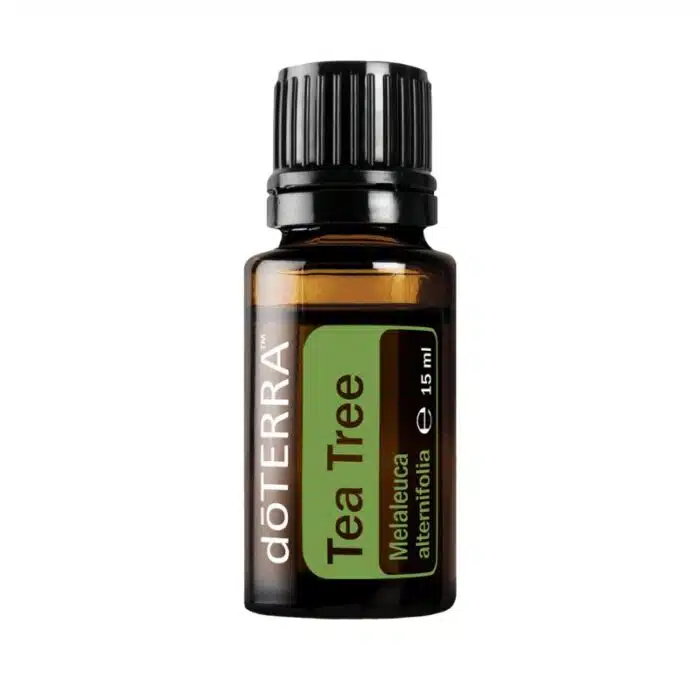 Melaleuca – Tea Tree Oil – Tea Tree