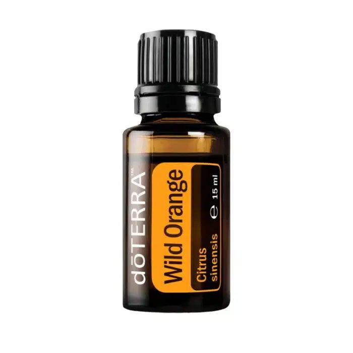 Wild Orange- Citrus sinensis – Wild Orange