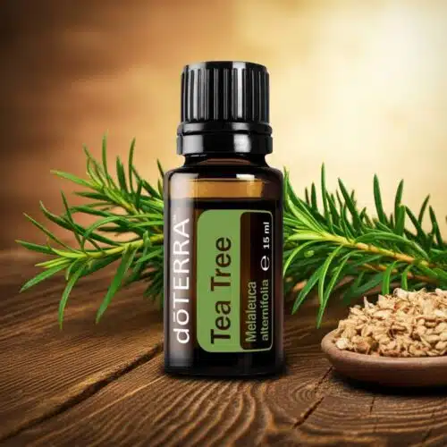 doTERRA Teebaum