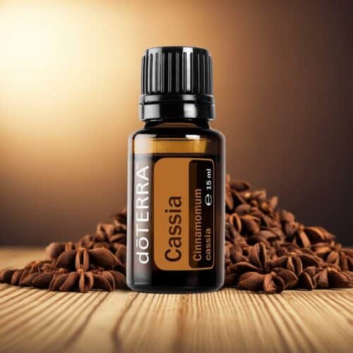 Cassia - Cinnamomum cassia - Image 5