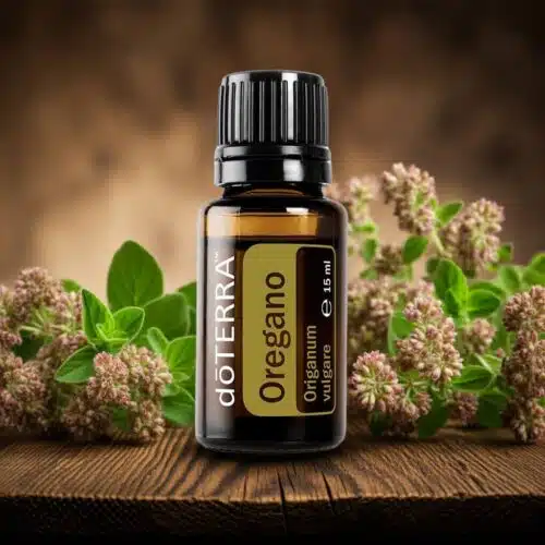 Oregano Origanum vulgare - Image 5