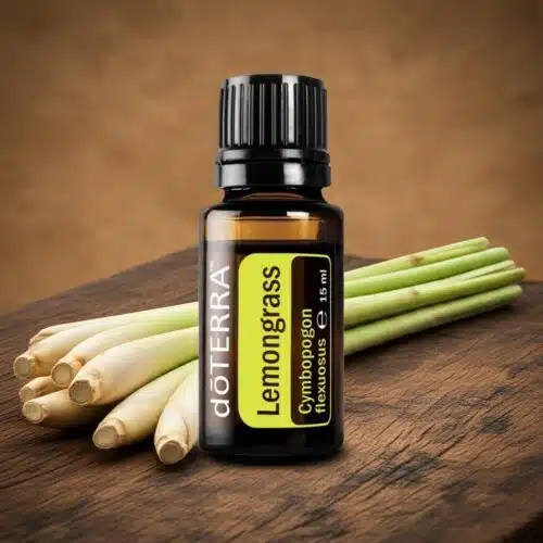 Lemongrass Cymbopogon flexuosus - Lemongrass - Image 5