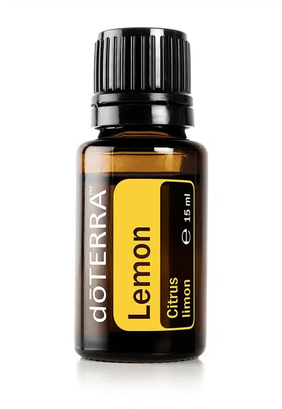 Lemon – Citrus limon – Lemon