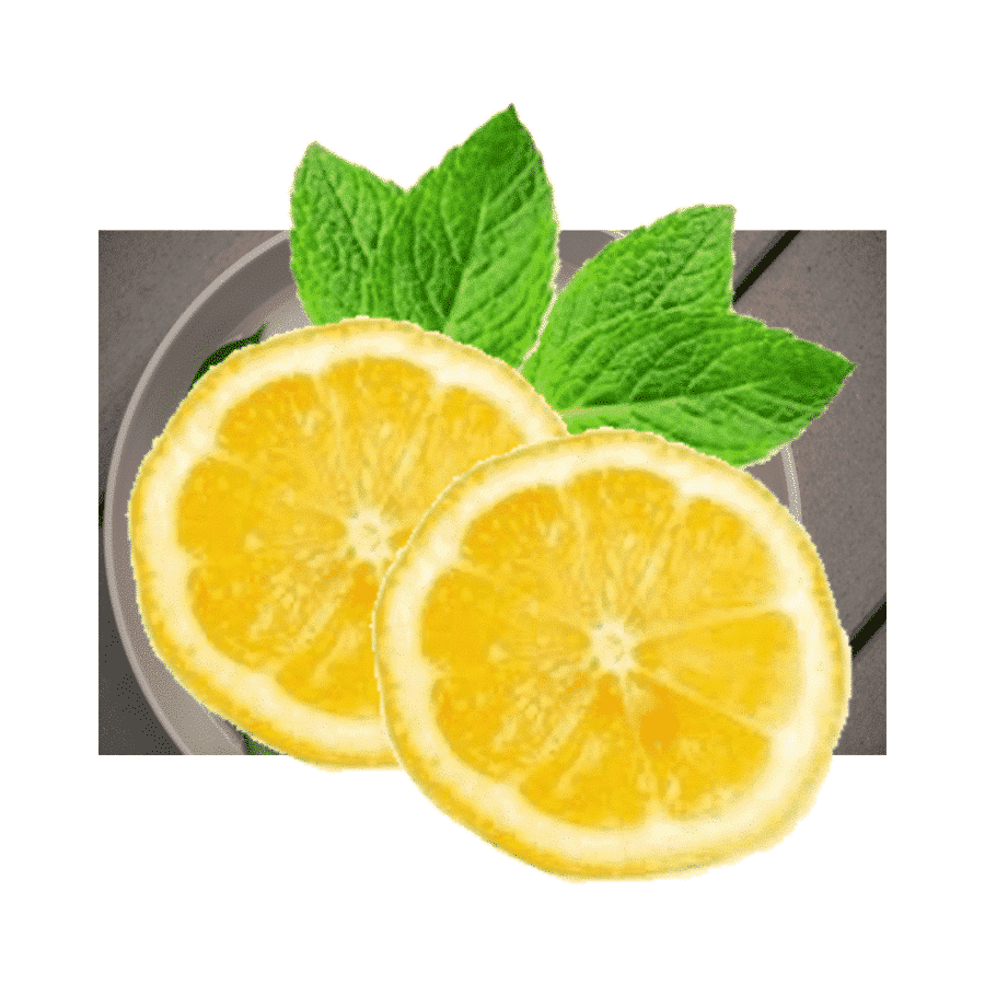 Lemon – Citrus limon – Lemon