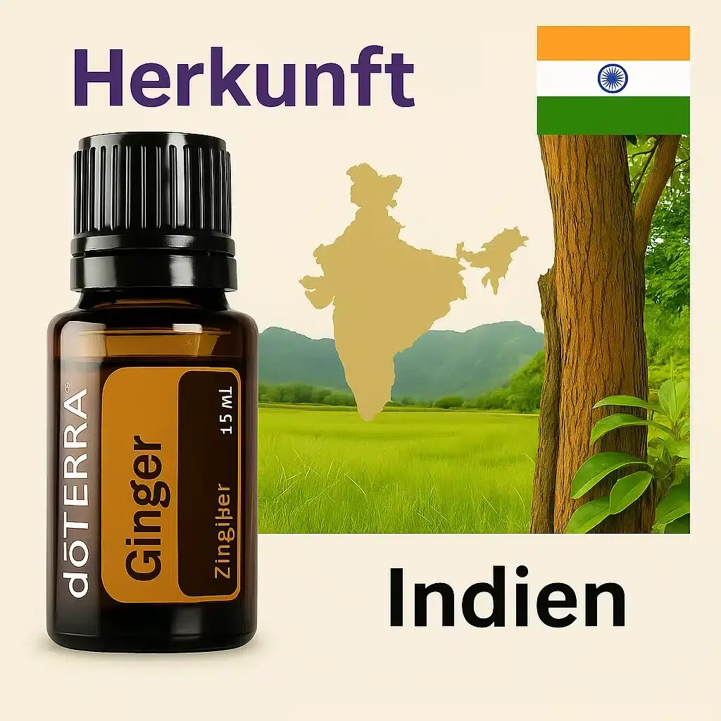 doTERRA Ingwer Anwendung