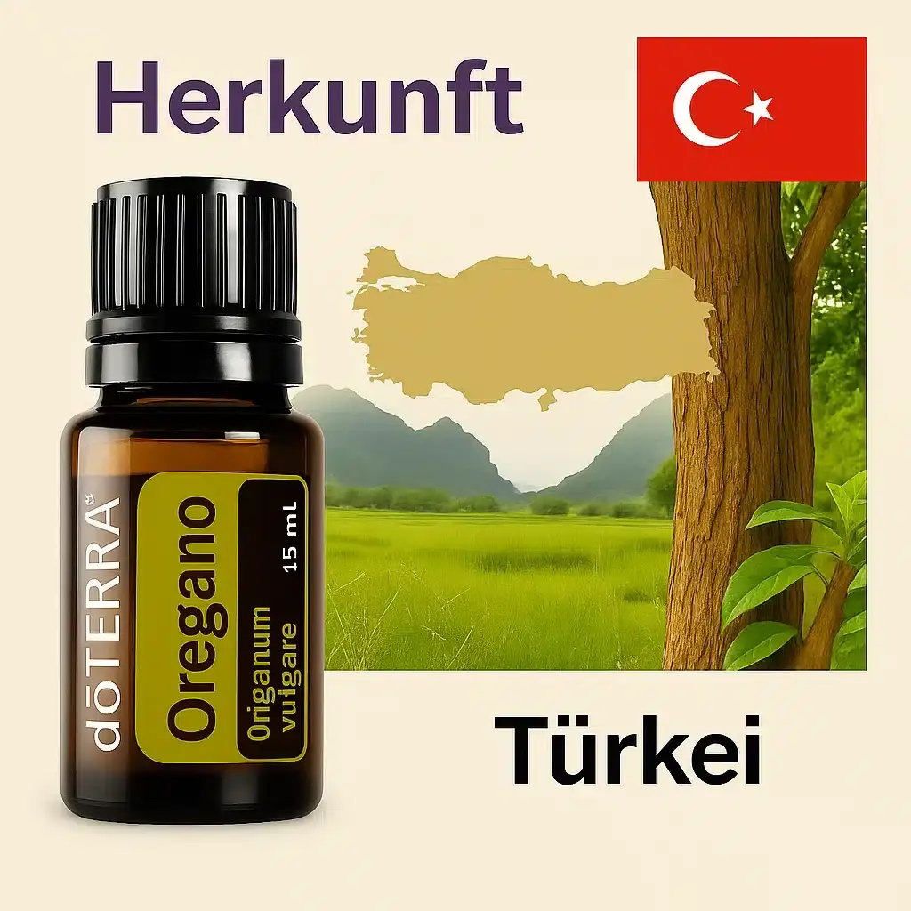 doTERRA Oregano Pflanze