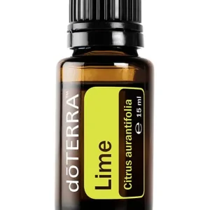 Limette Citrus aurantifolia - Lime