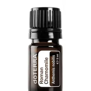 Römische Kamille Anthemis nobilis - Roman Chamomile