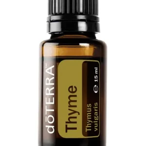 Thymian - Thymus vulgaris - Thyme