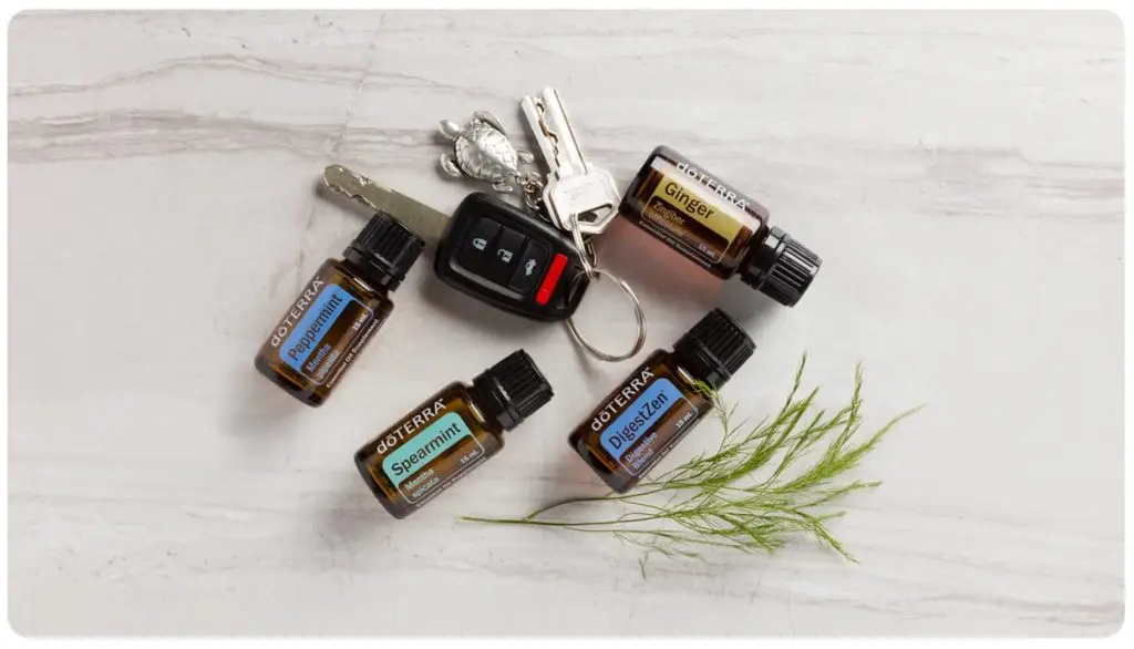 aetherische oele bei reisekrankheit2.jpg