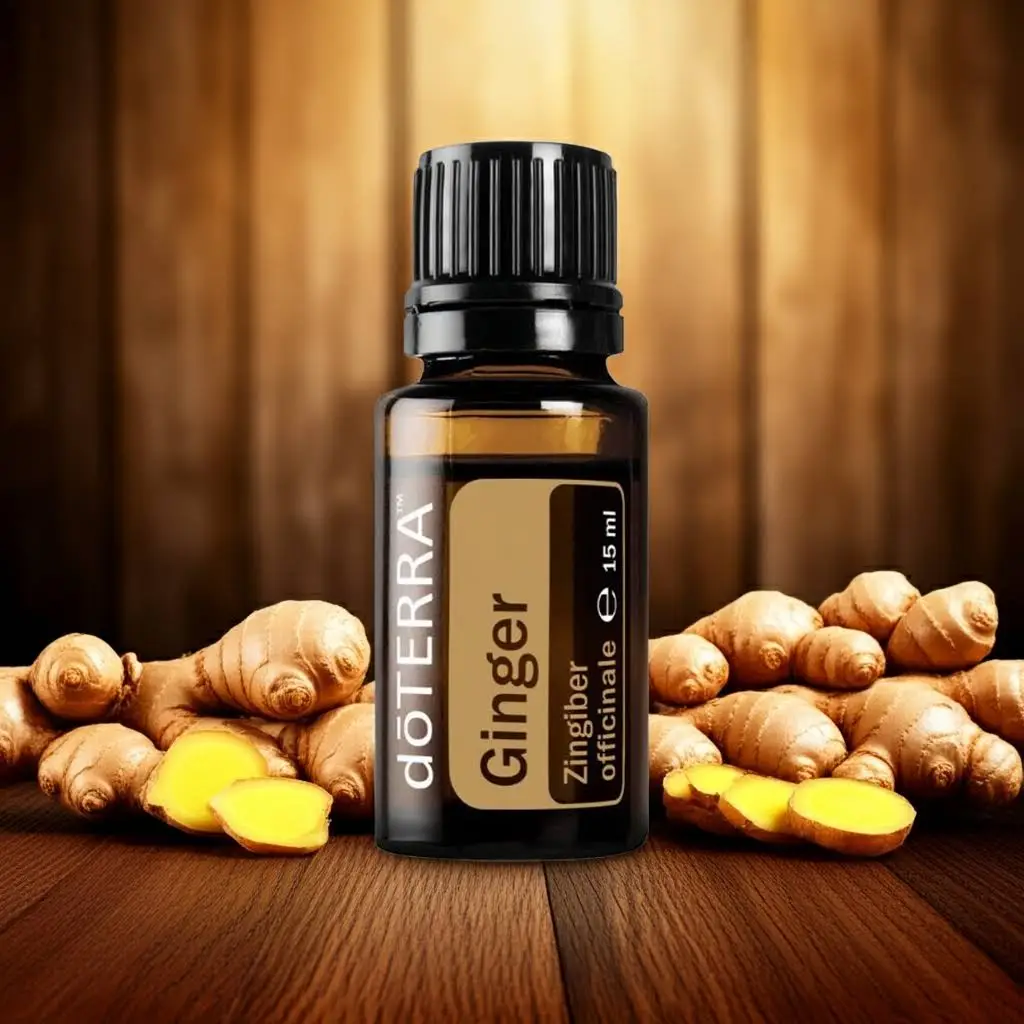 doTERRA Ingwer Wurzel